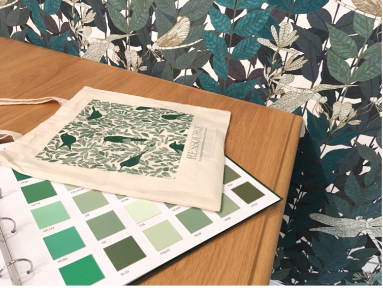 tapet si vopsea asortata